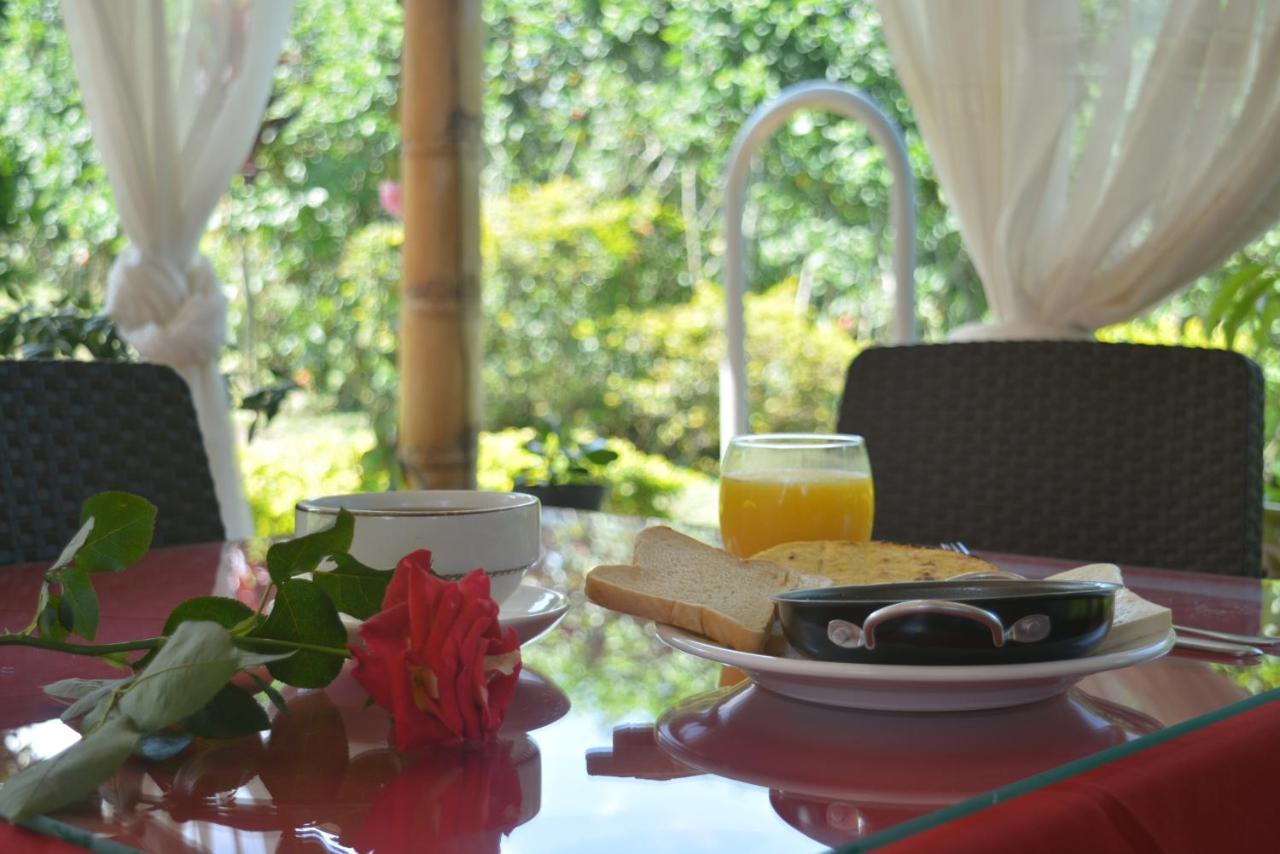Hotel Campestre Sueno Del Abuelo ペレイラ エクステリア 写真